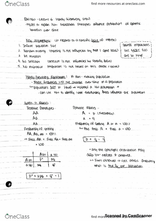 BIO260H1 Lecture Notes - Lecture 6: Effective Population Size, Elze, Opnet thumbnail