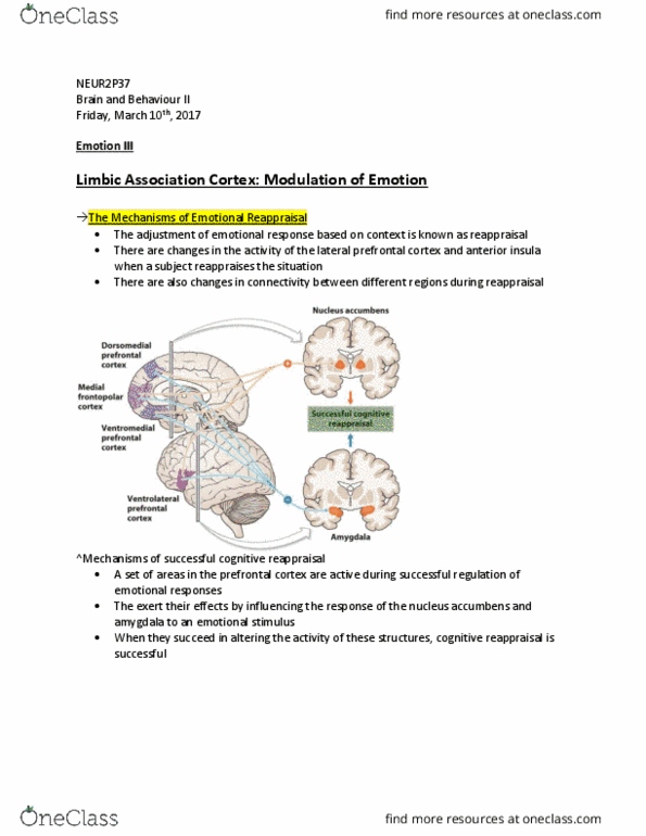 NEUR 2P37 Lecture Notes - Lecture 14: Panic Attack, Selective Serotonin Reuptake Inhibitor, Reuptake thumbnail