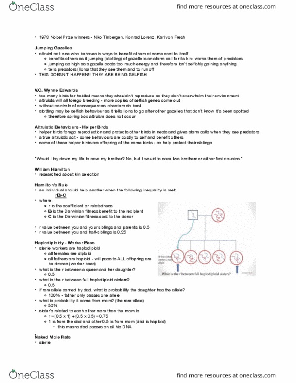 BIOLOGY 1M03 Lecture Notes - Lecture 23: Blue-Collar Worker, Haplodiploidy, Nikolaas Tinbergen thumbnail