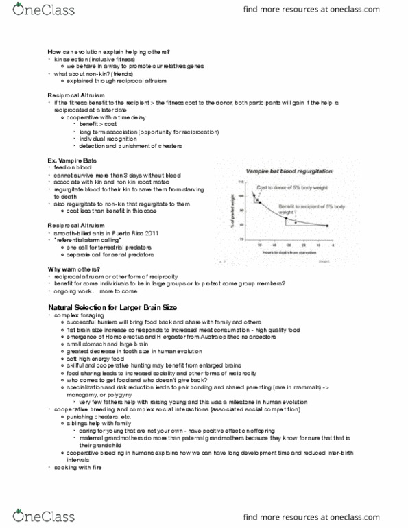 BIOLOGY 1M03 Lecture Notes - Lecture 24: Cooperative Breeding, Shared Parenting, Homo Erectus thumbnail