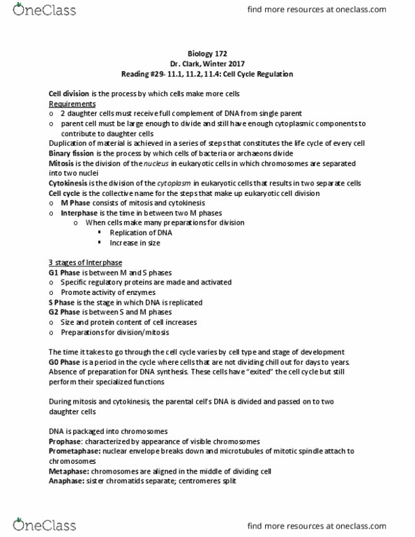 BIOLOGY 172 Chapter Notes - Chapter 11.1, 11.2, 11.4: Tubulin, Spindle Apparatus, Actomyosin Ring thumbnail