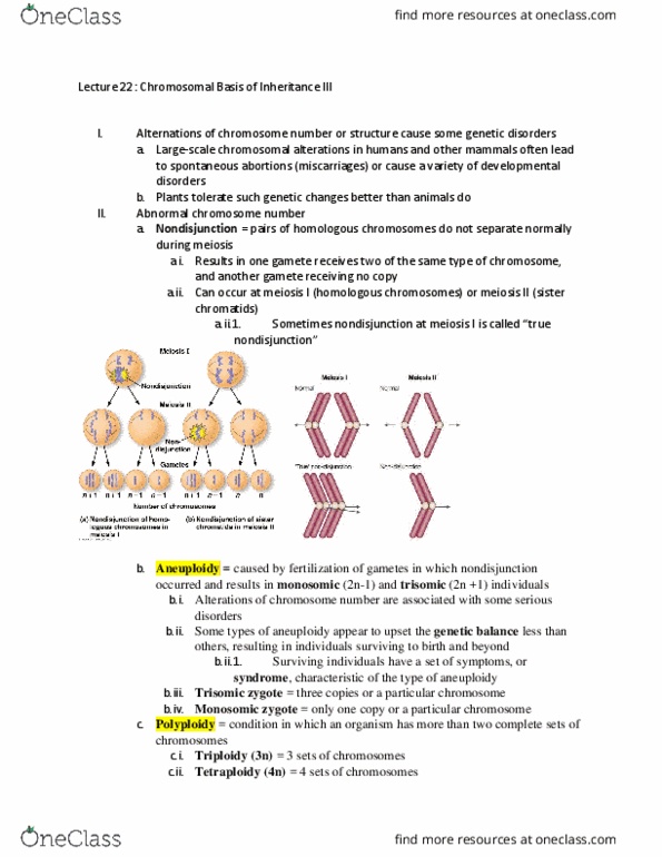 BSCI 1511 Lecture Notes - Lecture 22: Megakaryocyte, Mitochondrion, Mitochondrial Myopathy thumbnail