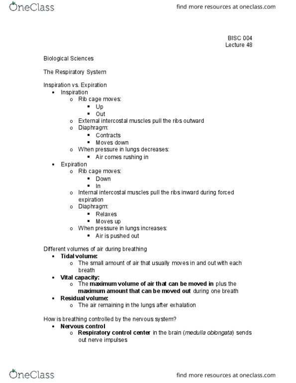 BI SC 004 Lecture Notes - Lecture 48: Cellular Respiration, Tidal Volume, External Intercostal Muscles thumbnail