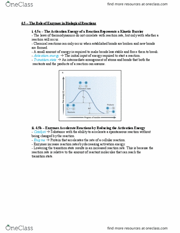 Biology 1202B Chapter Notes - Chapter 4: Reaction Rate, Activation Energy, Enzyme thumbnail