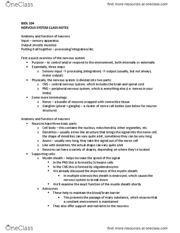 BIOL 104 Lecture Notes - Lecture 9: Oligodendrocyte, Axon Hillock, Acetylcholine thumbnail