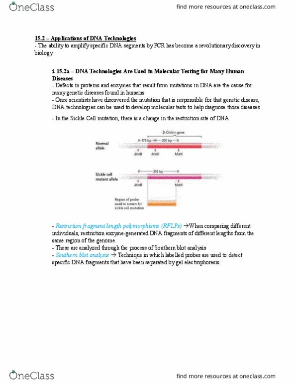 Biology 1202B Chapter Notes - Chapter 15: Dna Profiling, Genetic Disorder, Dwarfism thumbnail