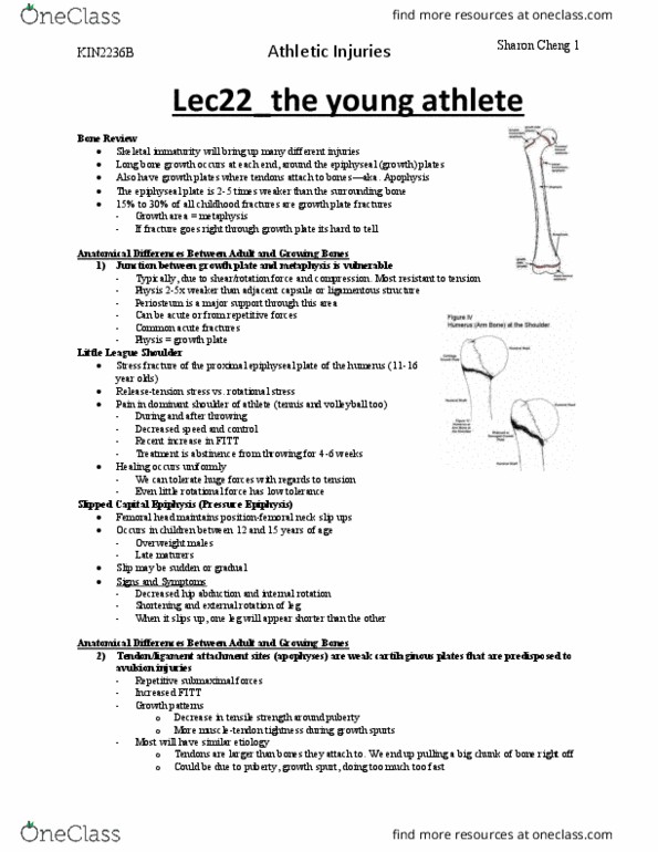 Kinesiology 2236A/B Lecture Notes - Lecture 22: Humerus, Metaphysis, Buckling thumbnail