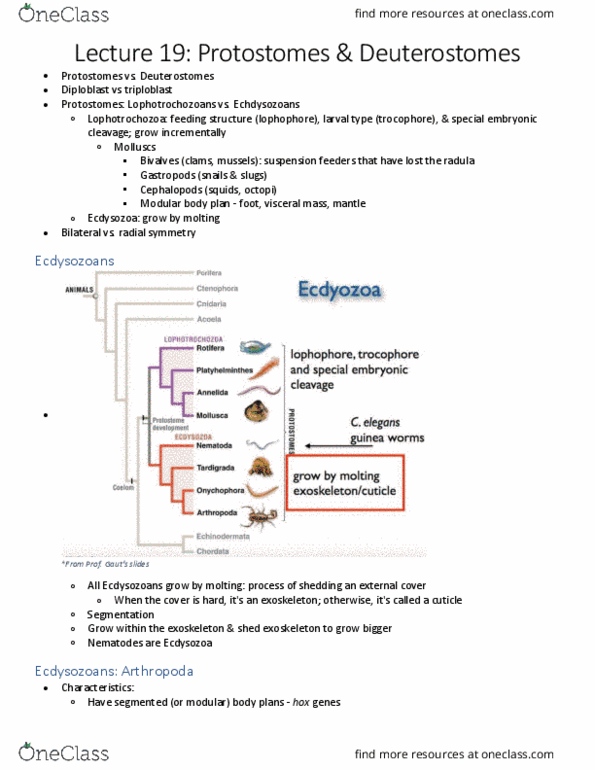 BIO SCI 94 Lecture Notes - Lecture 19: Ecdysozoa, Great Salt Lake, Microfabrication thumbnail