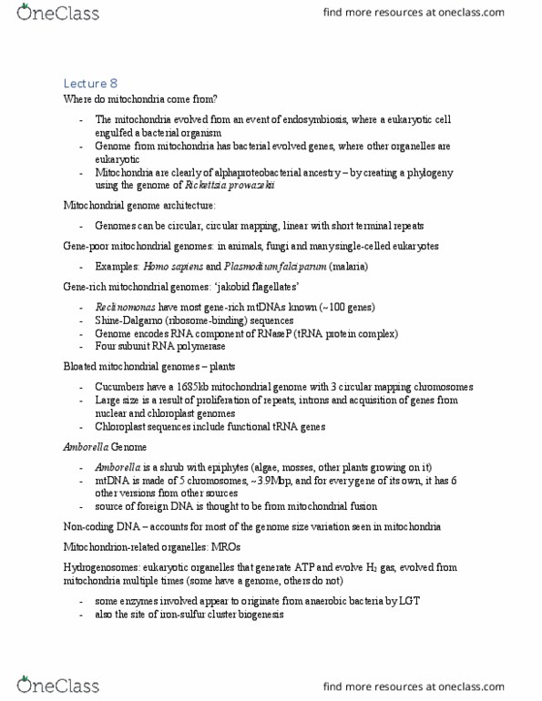 BIOC 4403 Lecture Notes - Lecture 8: Rickettsia Prowazekii, Amborella, Genome Size thumbnail