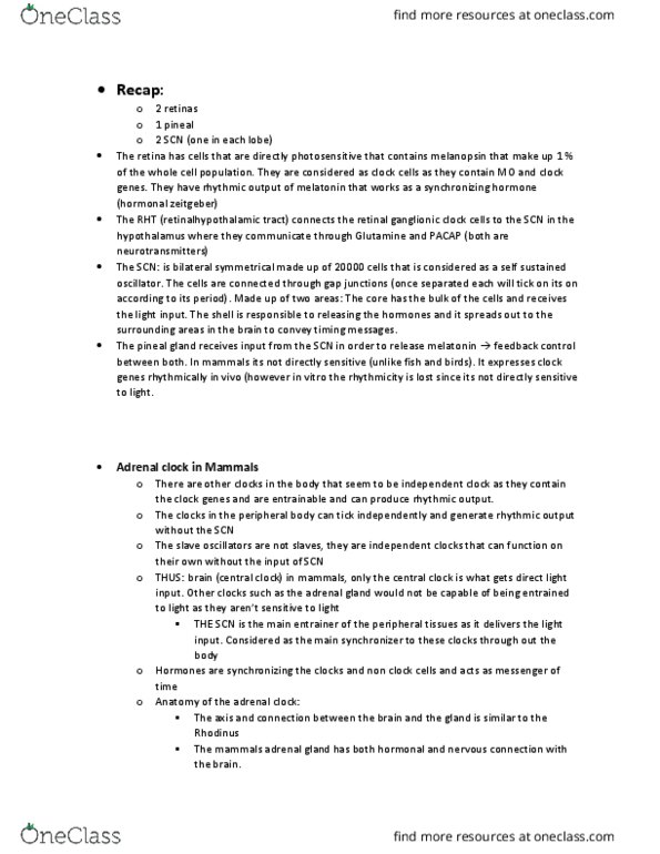 BIOL 4310 Lecture Notes - Lecture 15: Transcriptome, Per2, Melanopsin thumbnail