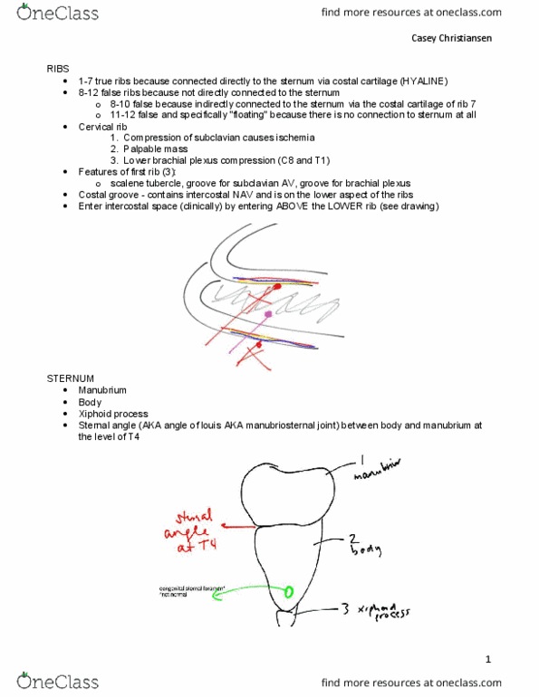 ZOO 3733C Chapter Notes - Chapter 3: Chest Tube, Celiac Artery, Balloon Catheter thumbnail