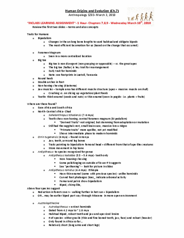 ANTHROP 2FF3 Chapter Notes -Foramen Magnum, Sahelanthropus, Ardipithecus thumbnail