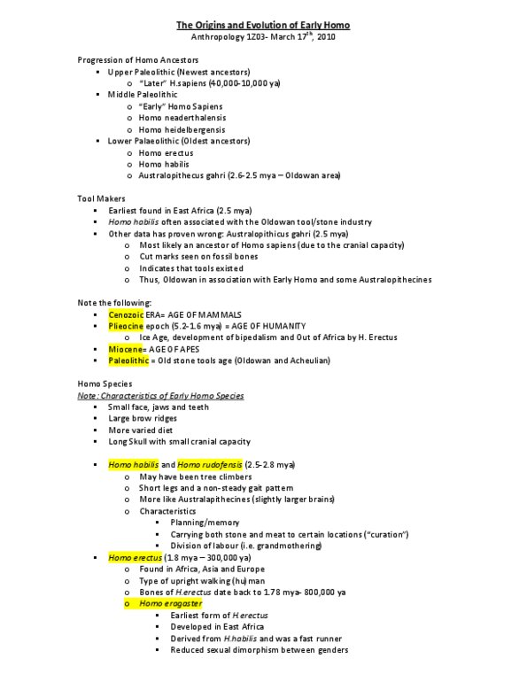 ANTHROP 2FF3 Chapter Notes -Archaic Humans, Homo Habilis, Homo Erectus thumbnail