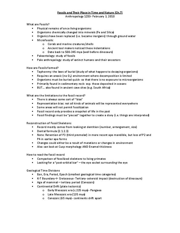 ANTHROP 2FF3 Chapter Notes -Relative Dating, Dentition, Cenozoic thumbnail