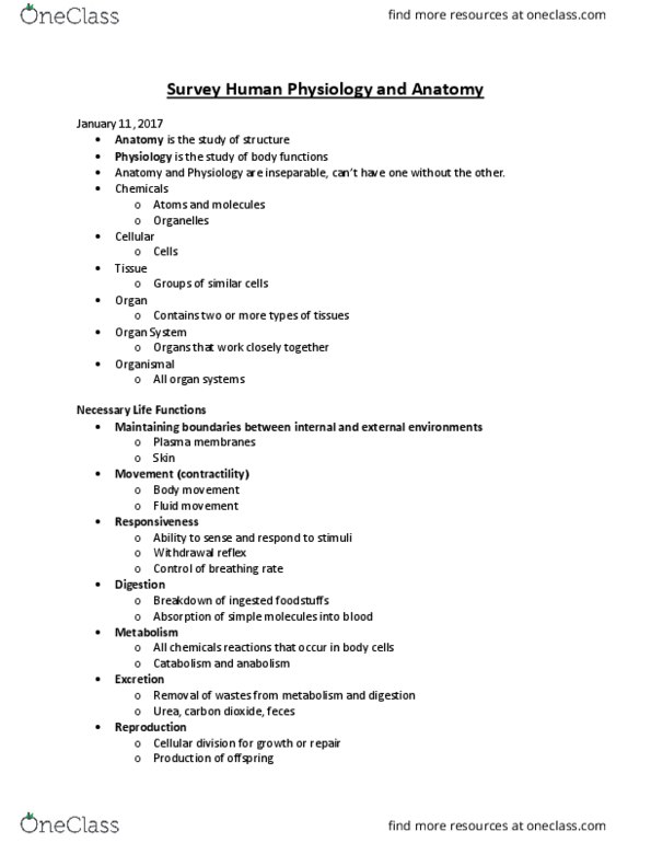 BIOL 2130 Lecture Notes - Lecture 1: Scrotum, Trachea, Vas Deferens thumbnail