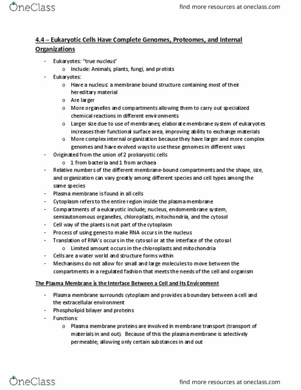 BIOL 1001 Lecture Notes - Lecture 10: Nuclear Membrane, Nuclear Pore, Chromosome thumbnail