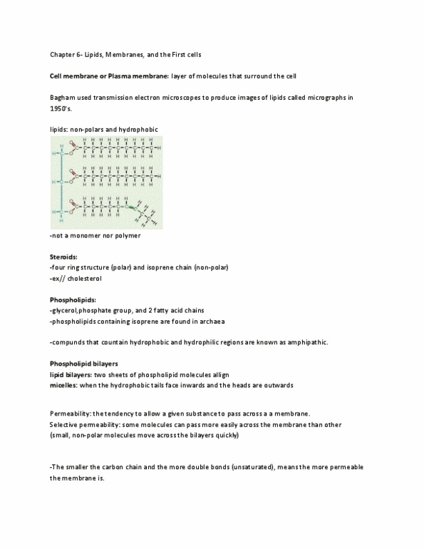 BIOLOGY 1A03 Lecture Notes - James Danielli, Lipid Bilayer, Isoprene thumbnail