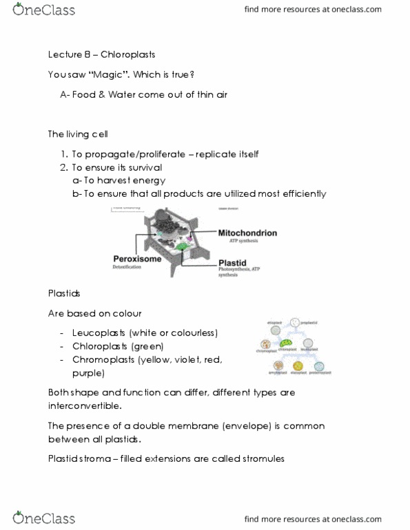 BIOL 1090 Lecture Notes - Lecture 8: Inner Membrane, Cellular Respiration, Motility thumbnail