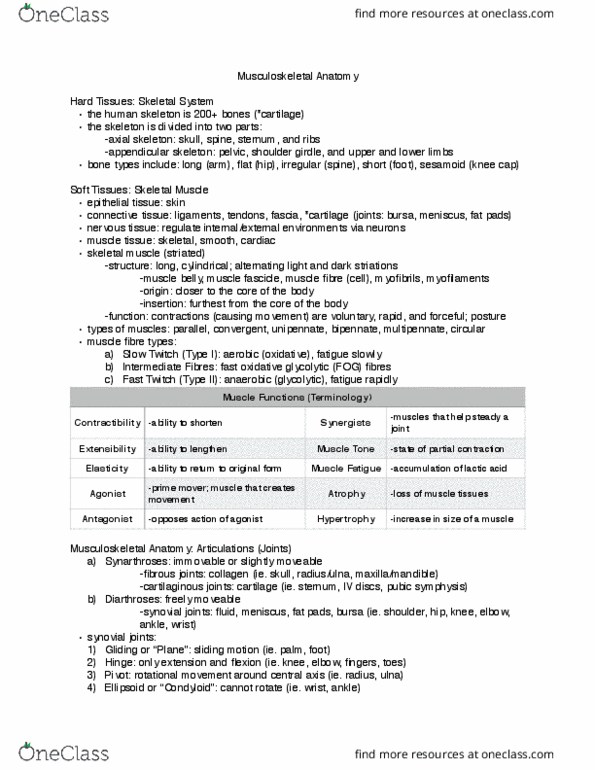 HSS 2111 Lecture Notes - Lecture 1: Agonist, Pubic Symphysis, Anatomical Terms Of Motion thumbnail