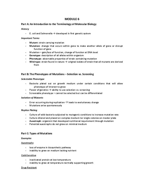 BIOL240 Chapter Notes -Lambda Phage, Holliday Junction, Sos Response thumbnail