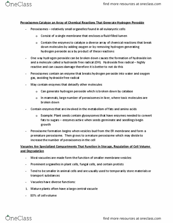 BIOL 1001 Lecture Notes - Lecture 12: Metabolic Pathway, Catabolism, Peptide thumbnail