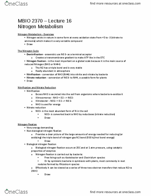 MBIO 2370 Lecture Notes - Lecture 16: Clostridium, Glutamate Dehydrogenase, Bond Energy thumbnail