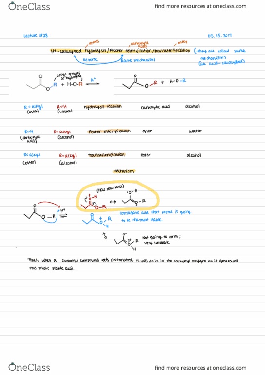 CHEM 2320 Lecture Notes - Lecture 29: Tetrahedral Carbonyl Addition Compound, Leaving Group, Hydrolysis thumbnail