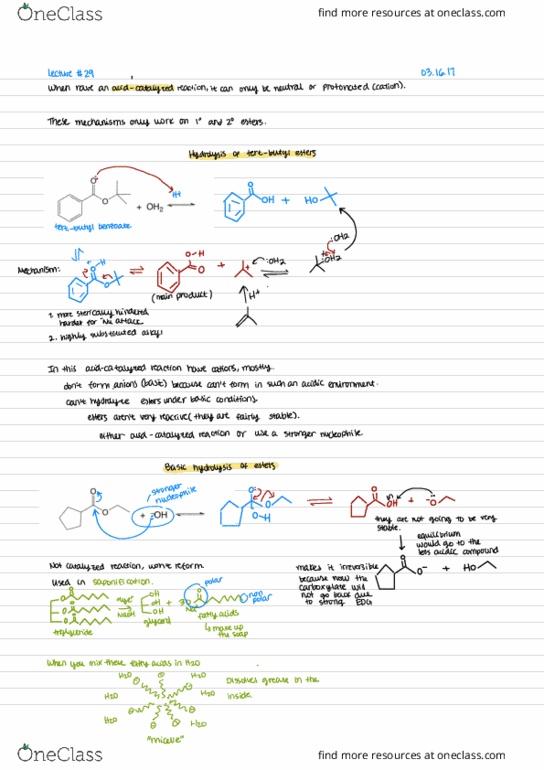CHEM 2320 Lecture Notes - Lecture 30: Telomerase Reverse Transcriptase, Alibaba Group, Benzoic Acid thumbnail