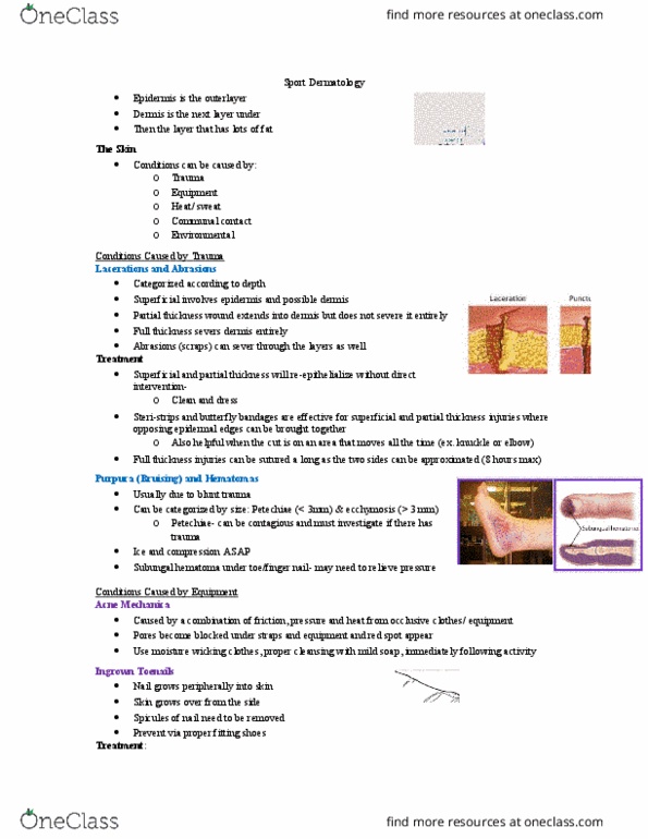 Kinesiology 3336A/B Lecture Notes - Lecture 20: Parasitism, Hair Dryer, Dorsal Root Ganglion thumbnail