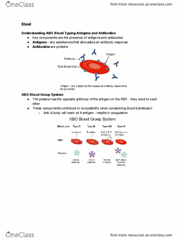 HTHSCI 1H06 Lecture Notes - Lecture 7: Abo Blood Group System, Gamma Globulin, Fetal Circulation thumbnail