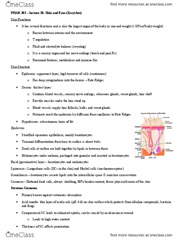 PHAR 303 Lecture Notes - Lecture 18: Lawsone, Malnutrition, Methylmercury thumbnail