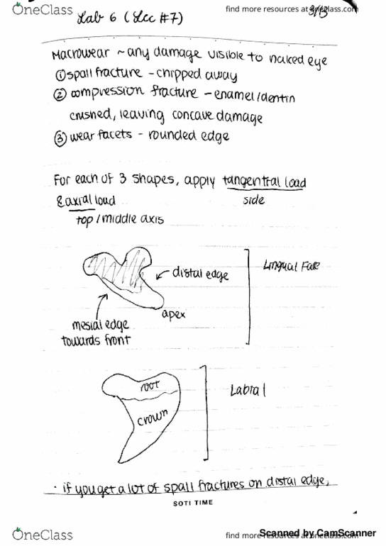 BSCI 393 Lecture 7: BSCI393 Lec 7 thumbnail