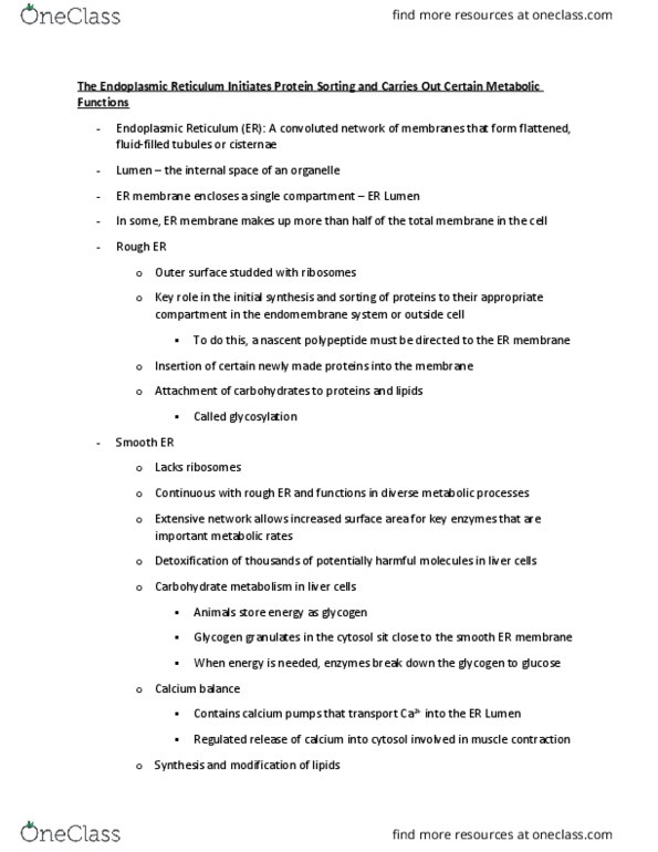 BIOL 1001 Lecture Notes - Lecture 11: Extracellular Fluid, Covalent Bond, Vacuole thumbnail