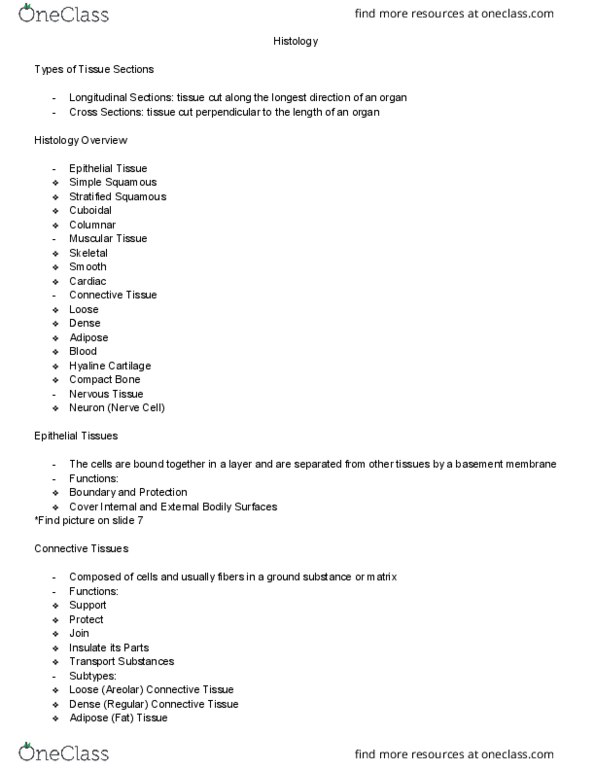 BIOL 1107 Lecture Notes - Lecture 8: Skeletal Muscle, Anatomical Terms Of Motion, Sesamoid Bone thumbnail