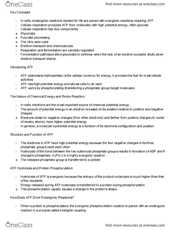 BIOL 1107 Lecture Notes - Lecture 6: Membrane Protein, Oxidative Phosphorylation, Citric Acid thumbnail