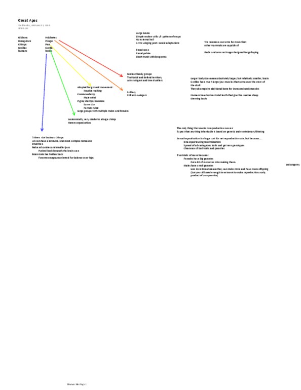 CAS AN 102 Lecture Notes - Knuckle-Walking, Hylobates, Nuclear Family thumbnail