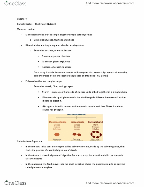 NUT 10 Chapter Notes - Chapter 4: Starch, Dietary Fiber, Carbohydrate thumbnail
