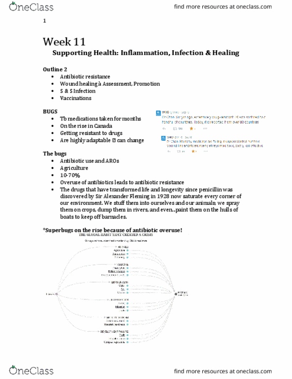 Nursing 2230A/B Lecture Notes - Lecture 11: Enterobacteriaceae, Pressure Ulcer, Blood Culture thumbnail