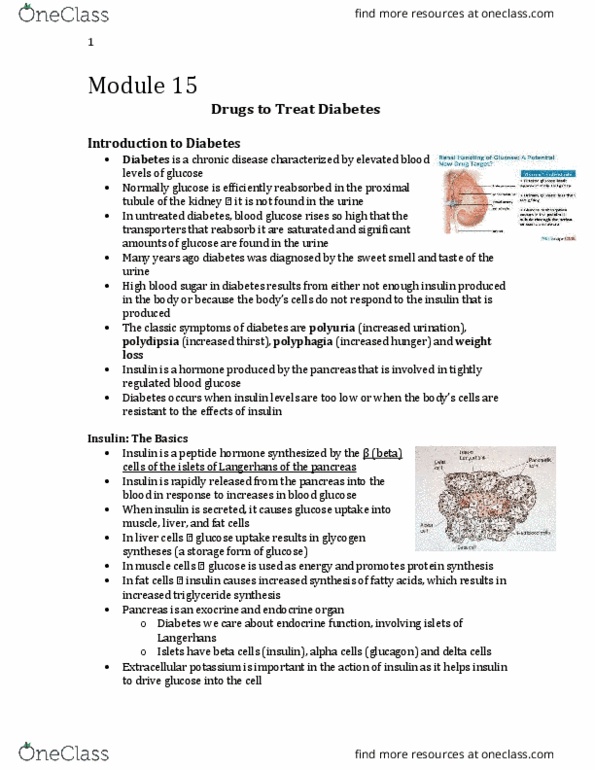 Pharmacology 2060A/B Lecture Notes - Lecture 15: Calorie Restriction, Sympathetic Nervous System, Cerebrovascular Disease thumbnail