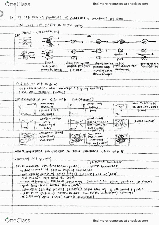 EE BIOL 153 Lecture Notes - Lecture 16: Thai Baht thumbnail