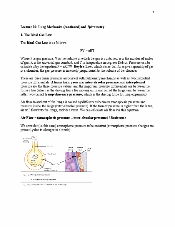 BIOC34H3 Lecture Notes - Lecture 10: Ideal Gas Law, Transpulmonary Pressure, Gas Constant thumbnail