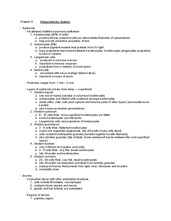 BIOB34H3 Chapter Notes - Chapter 5: Stratum Granulosum, Stratum Lucidum, Stratum Spinosum thumbnail