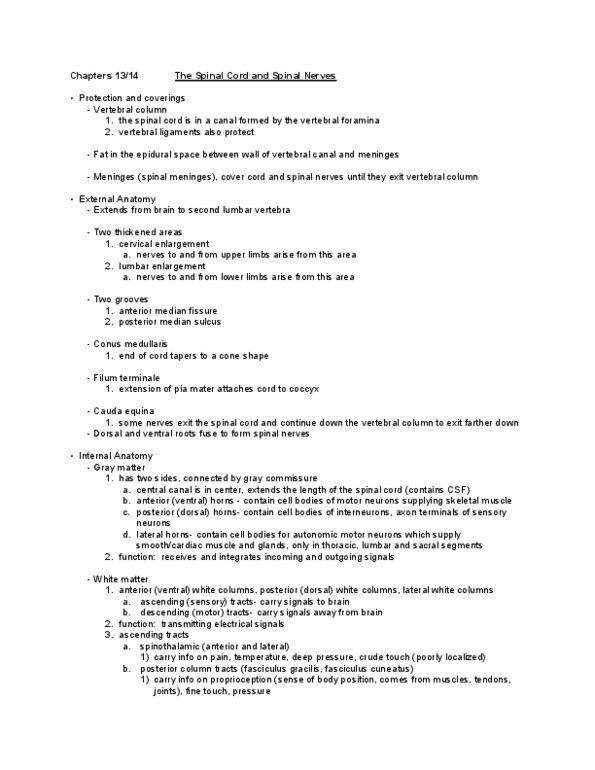 BIOB34H3 Lecture Notes - Filum Terminale, Conus Medullaris, Lumbar Vertebrae thumbnail