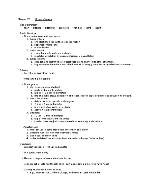 BIOB34H3 Lecture Notes - Tunica Intima, Tunica Externa, Vasa Vasorum thumbnail