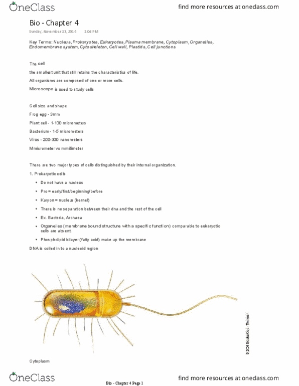 BSC 1005 Lecture Notes - Lecture 4: Microfilament, Lignin, Vacuole thumbnail