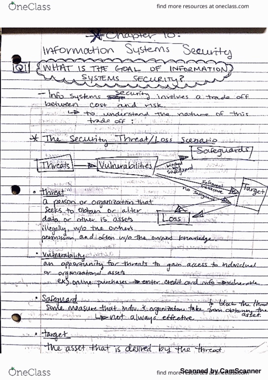 BUS 340 Chapter 10: chapter 10 MIS thumbnail