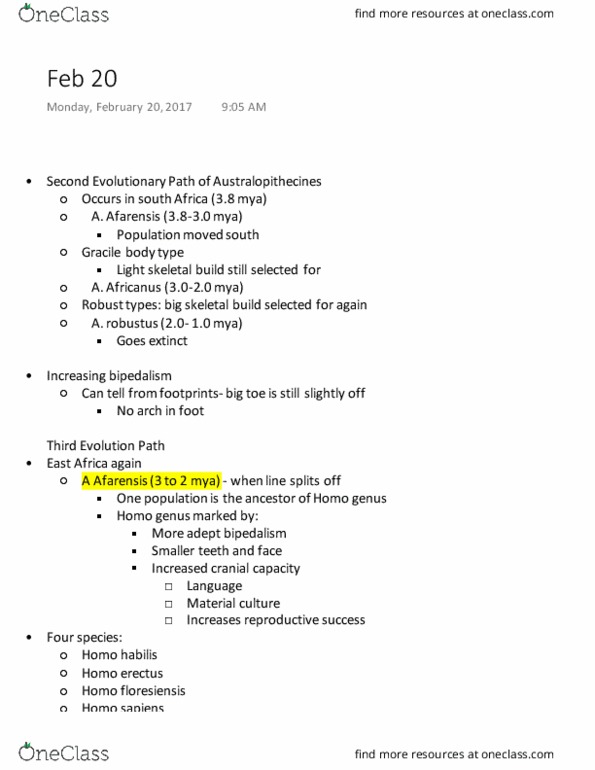 ANTH 1102 Lecture Notes - Lecture 16: Homo Floresiensis, Homo Habilis, Homo Erectus thumbnail