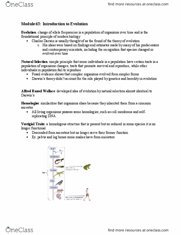 BI111 Chapter Notes - Chapter 63: Heredity, Radiometric Dating, Allele Frequency thumbnail