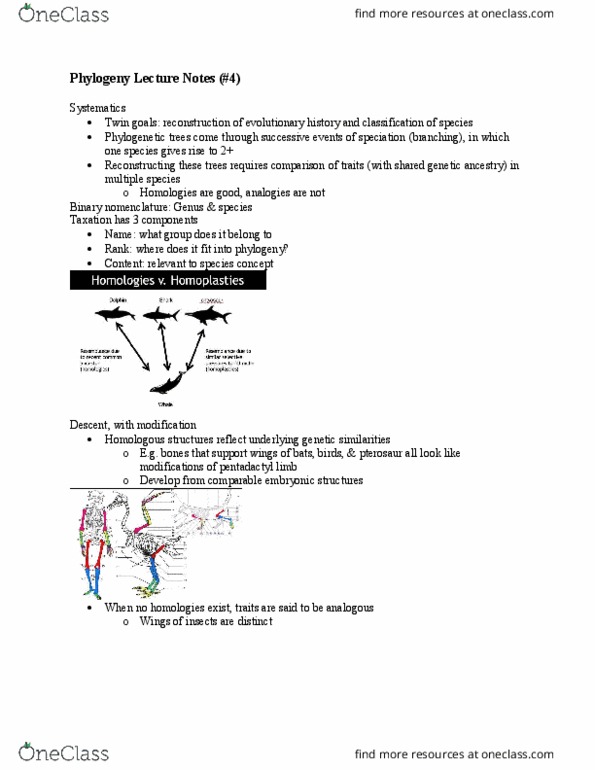 BI111 Lecture Notes - Lecture 4: Double Fertilization, Tracheid, Rhynia thumbnail