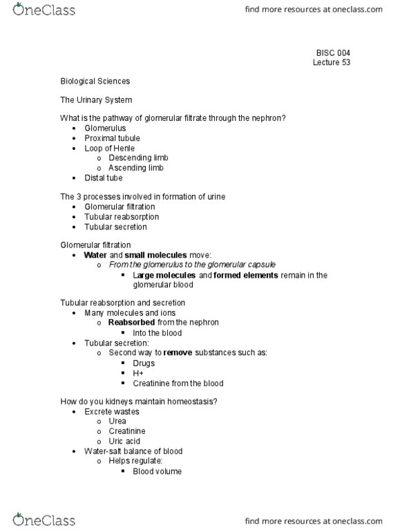 BI SC 004 Lecture Notes - Lecture 53: Juxtaglomerular Apparatus, Blood Pressure, Aldosterone thumbnail